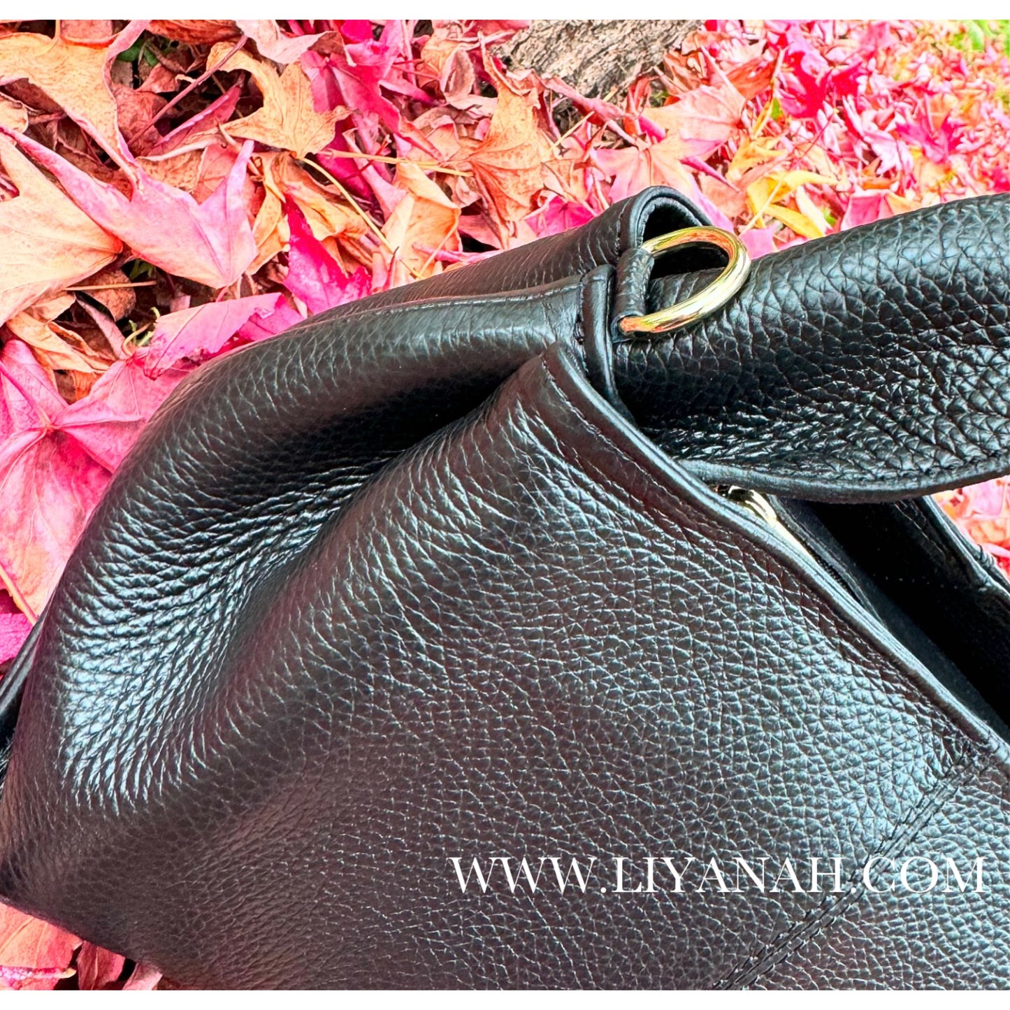 SAC Petit BOULE CUIR GRAINÉ LIYA NOIR